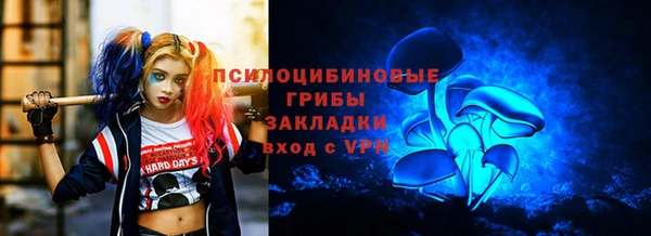 Альфа ПВП Гусев