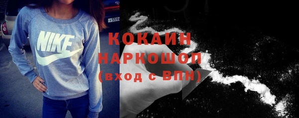 Альфа ПВП Гусев