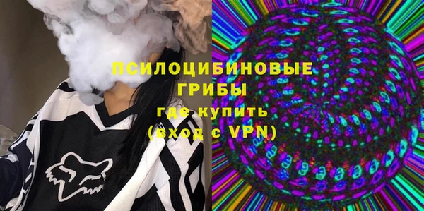 гашик Гусиноозёрск