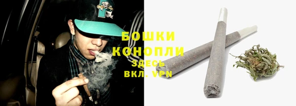 Альфа ПВП Гусев