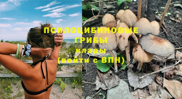гашик Гусиноозёрск